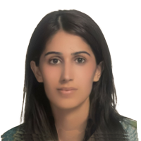 Board df Director